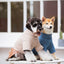 Touchdog ® 'Modress' Fashion Designer Dog Sweater and Dress
