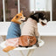 Touchdog ® 'Modress' Fashion Designer Dog Sweater and Dress