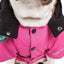 Touchdog ® 'Mount Pinnacle' Insulated Performance Retro Ski Dog Jacket