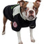 Touchdog ® 'Mount Pinnacle' Insulated Performance Retro Ski Dog Jacket