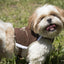 Touchdog ® 'Tough-Boutique' 2-in-1 Adjustable Fashion Dog Harness and Leash