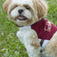 Touchdog ® 'Tough-Boutique' 2-in-1 Adjustable Fashion Dog Harness and Leash