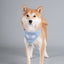 Touchdog ®'Dizzy-Eyed Cyclops' Cotton Hook-and-Loop Dog Bandana and Scarf