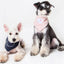 Touchdog ®'Dizzy-Eyed Cyclops' Cotton Hook-and-Loop Dog Bandana and Scarf
