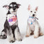 Touchdog ®'Head-Popper' Fashion Designer Printed Hook-and-Loop Dog Bandana