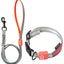 Touchdog ®'Lumiglow' 2-in-1 USB Charging LED Lighting Water-Resistant Dog Leash and Collar