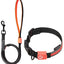 Touchdog ®'Lumiglow' 2-in-1 USB Charging LED Lighting Water-Resistant Dog Leash and Collar