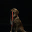 Touchdog ®'Lumiglow' 2-in-1 USB Charging LED Lighting Water-Resistant Dog Leash and Collar