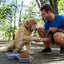 Tilley + Me Collapsible Double Pet Bowl – Lightweight & Portable for Travel