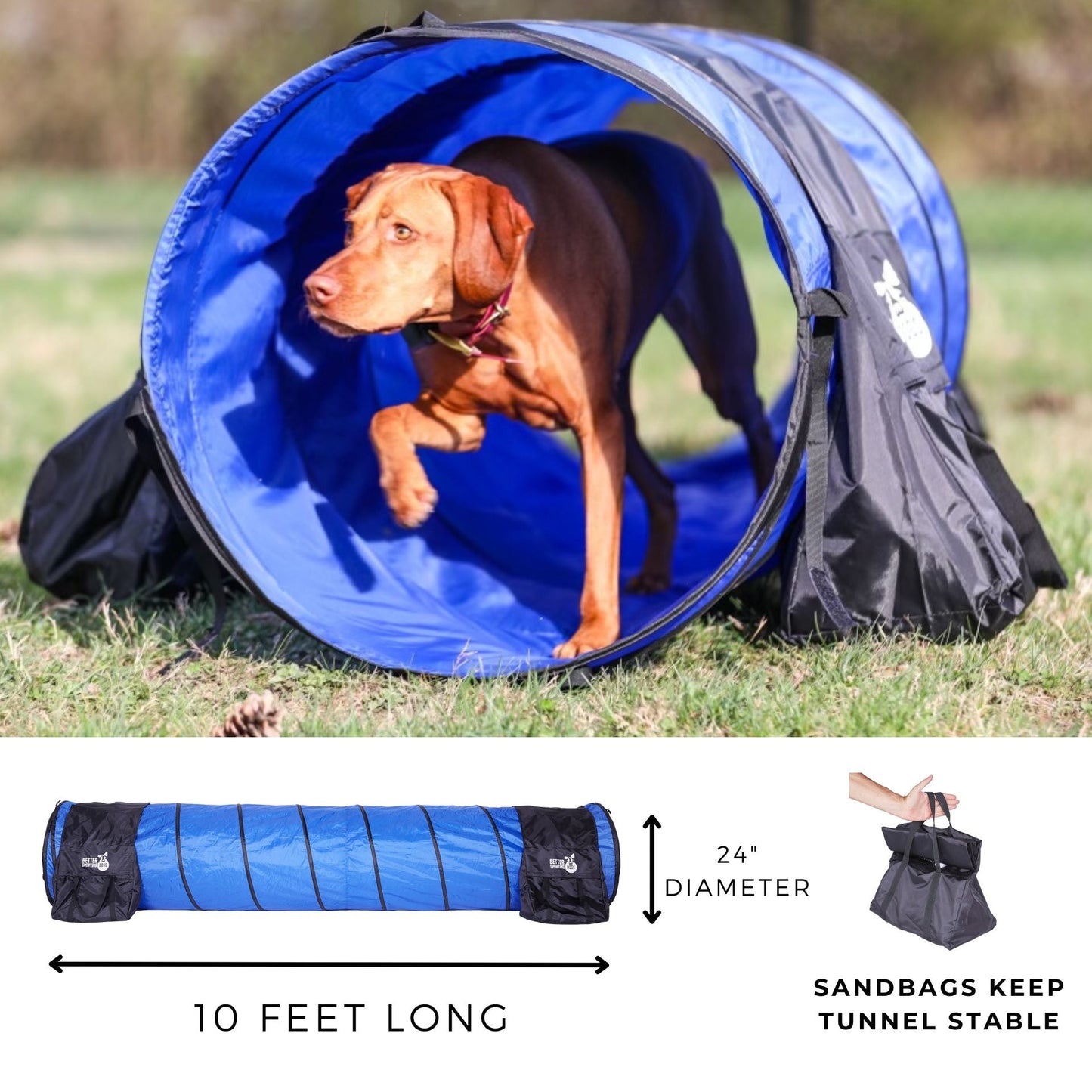 Better Sporting Dogs Upgraded Dog Agility Set – 5 Piece Training Kit with Safety Breakaway Tire Jump, Displacement Bar Jump, Tunnel, Weave Poles & Pause Box