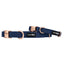 Dog Collar - Twilight