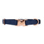 Dog Collar - Twilight