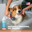 UBAVET Aloe & Oatmeal Shampoo for Dogs & Cats, 16.9 fl oz