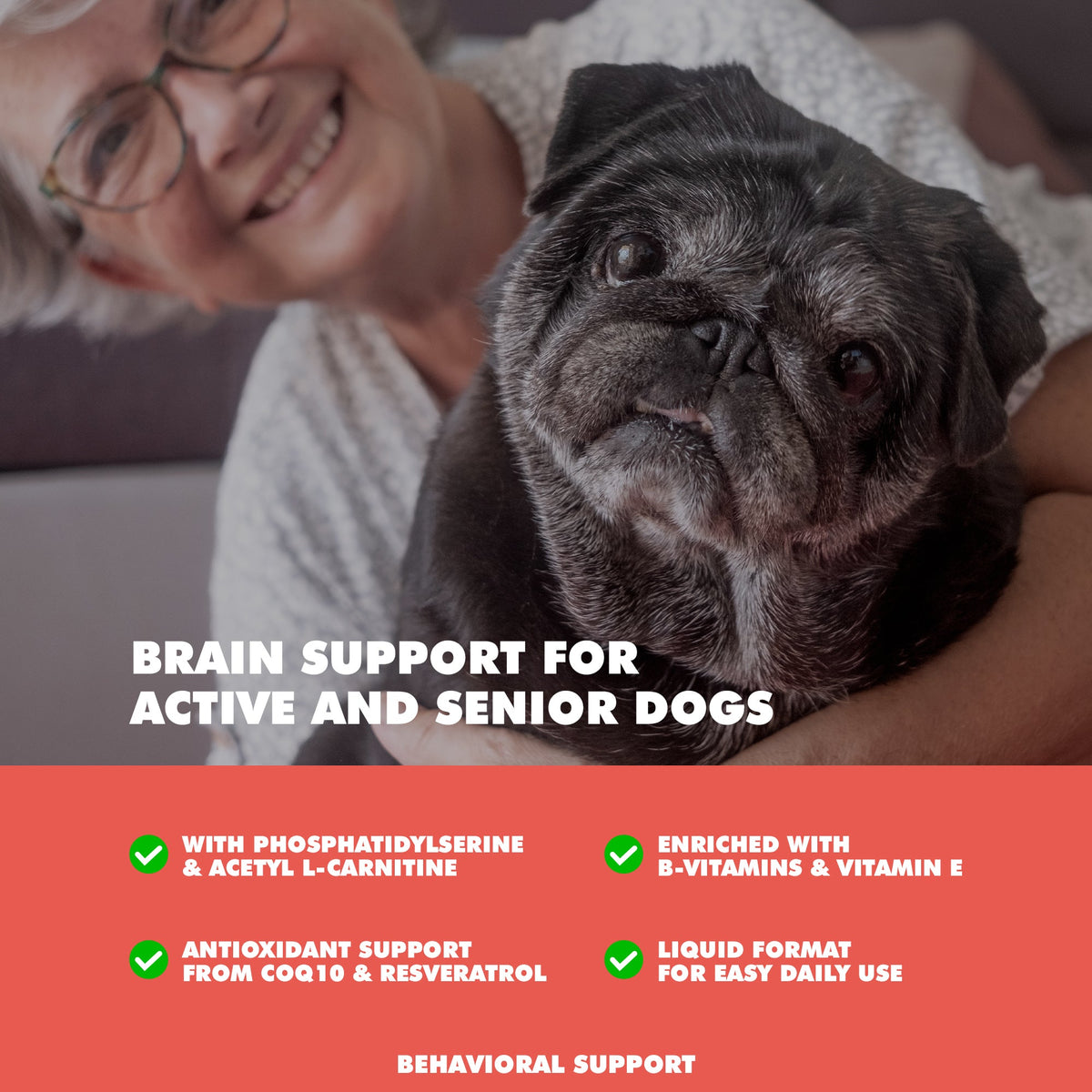 UBAVET Memory & Brain Support for Senior Dogs, 90 Capsules