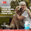 UBAVET Memory & Brain Support for Senior Dogs, 90 Capsules