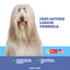 UBAVET Omega-3 Liquid for Dogs & Cats, 8 fl oz