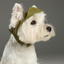 TENNIS HAT - GREEN