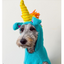 Unicorn Dog Sweater