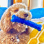 Large Natural Rubber Bone Toothbrush Toy