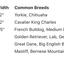 The Modern Dog Company - Clover Green Collar (Weather + Odor Resistant)