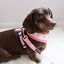 Dog Leash - Dolce Rose