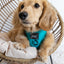Dog Adjustable Harness - Napa