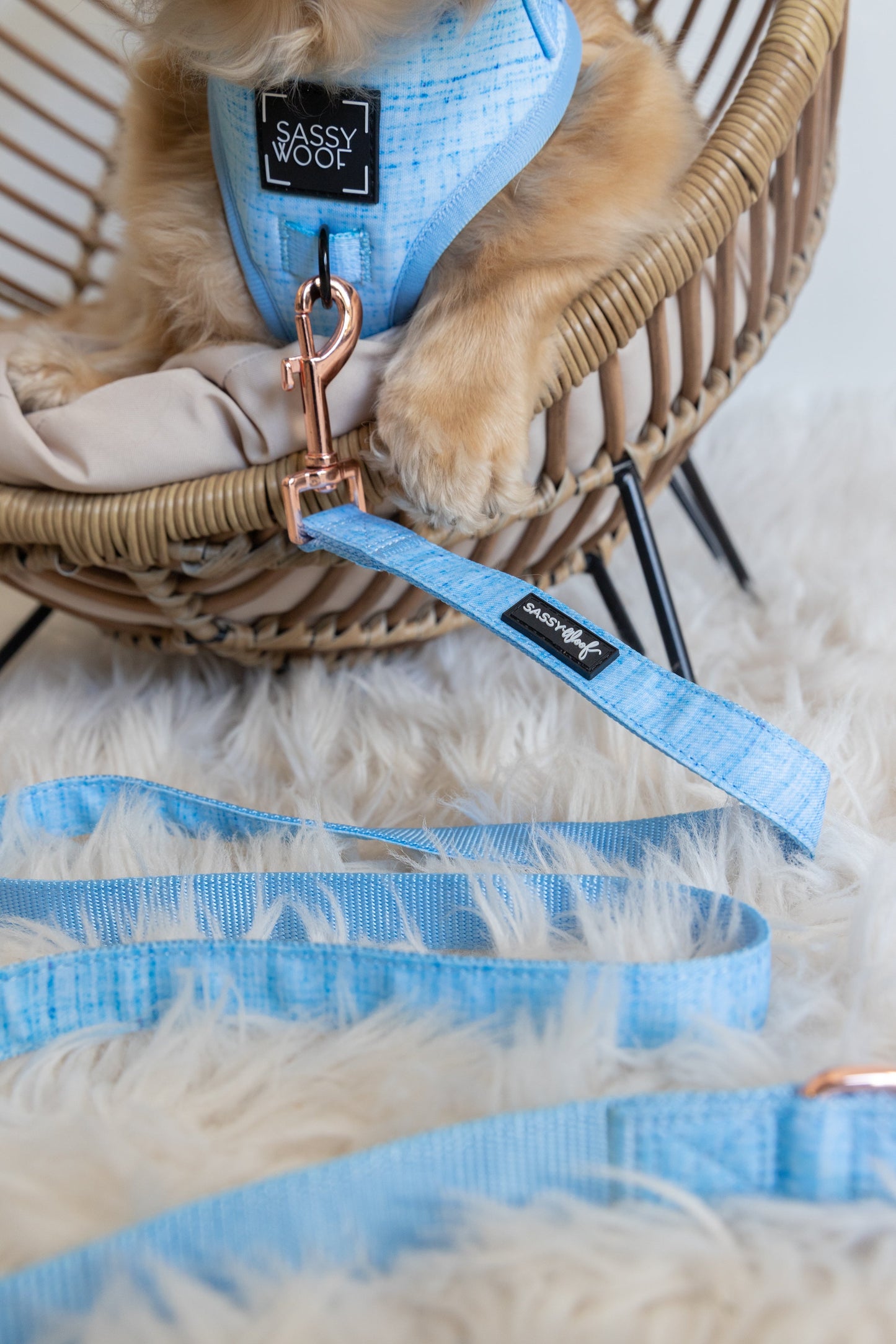 Dog Leash - Blumond