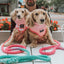 Dog Rope Leash - Unicorn