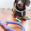 Dog Rope Leash - Sunset