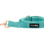 Dog Leash - Wag your Teal