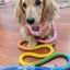 Dog Rope Leash - Sprinkles