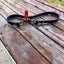Updated Leash Keeper (2026) *