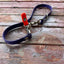 Updated Leash Keeper (2026) *