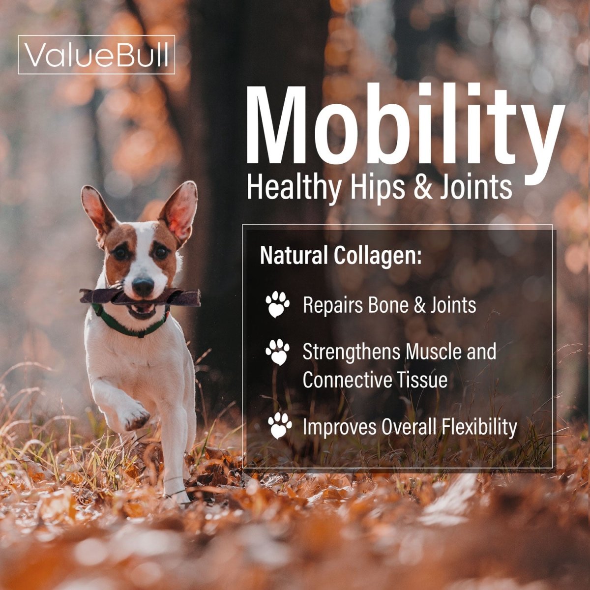 ValueBull USA Collagen Dog Chews, Fun Shapes Variety Mix, Natural Long-Lasting Dog Treats, 2 Pound
