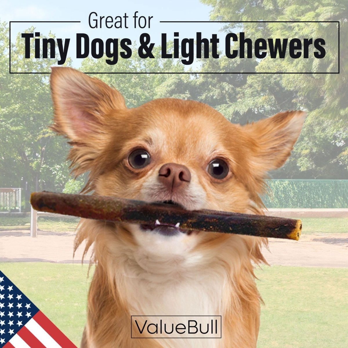 ValueBull USA Collagen Sticks for Small Dogs, 6 Inch Extra Thin Chews, Natural Dog Treats, 10 Count