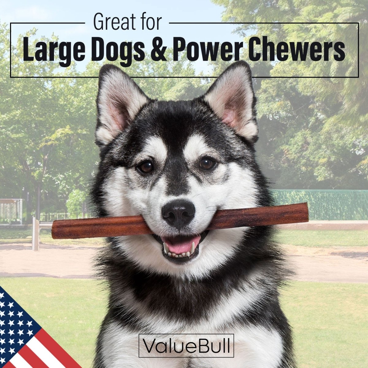 ValueBull USA Collagen Sticks for Dogs, 12 Inch Jumbo Chews, Natural Long-Lasting Dog Treats, 10 Count