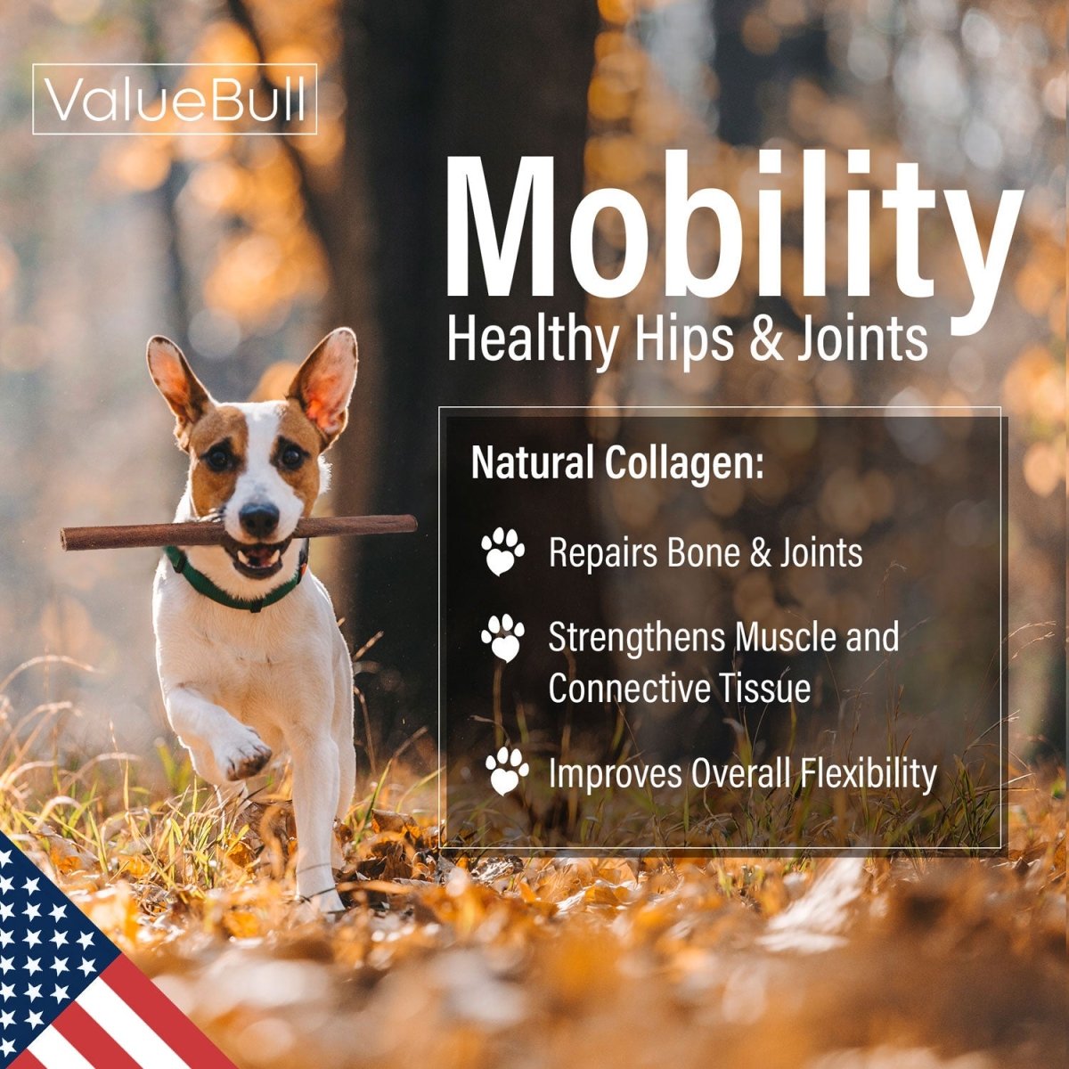 ValueBull USA Collagen Sticks for Dogs, 12 Inch Super Jumbo Chews, Natural Long-Lasting Dog Treats, 10 Count
