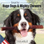ValueBull USA Collagen Sticks for Dogs, 12 Inch Super Jumbo Chews, Natural Long-Lasting Dog Treats, 25 Count