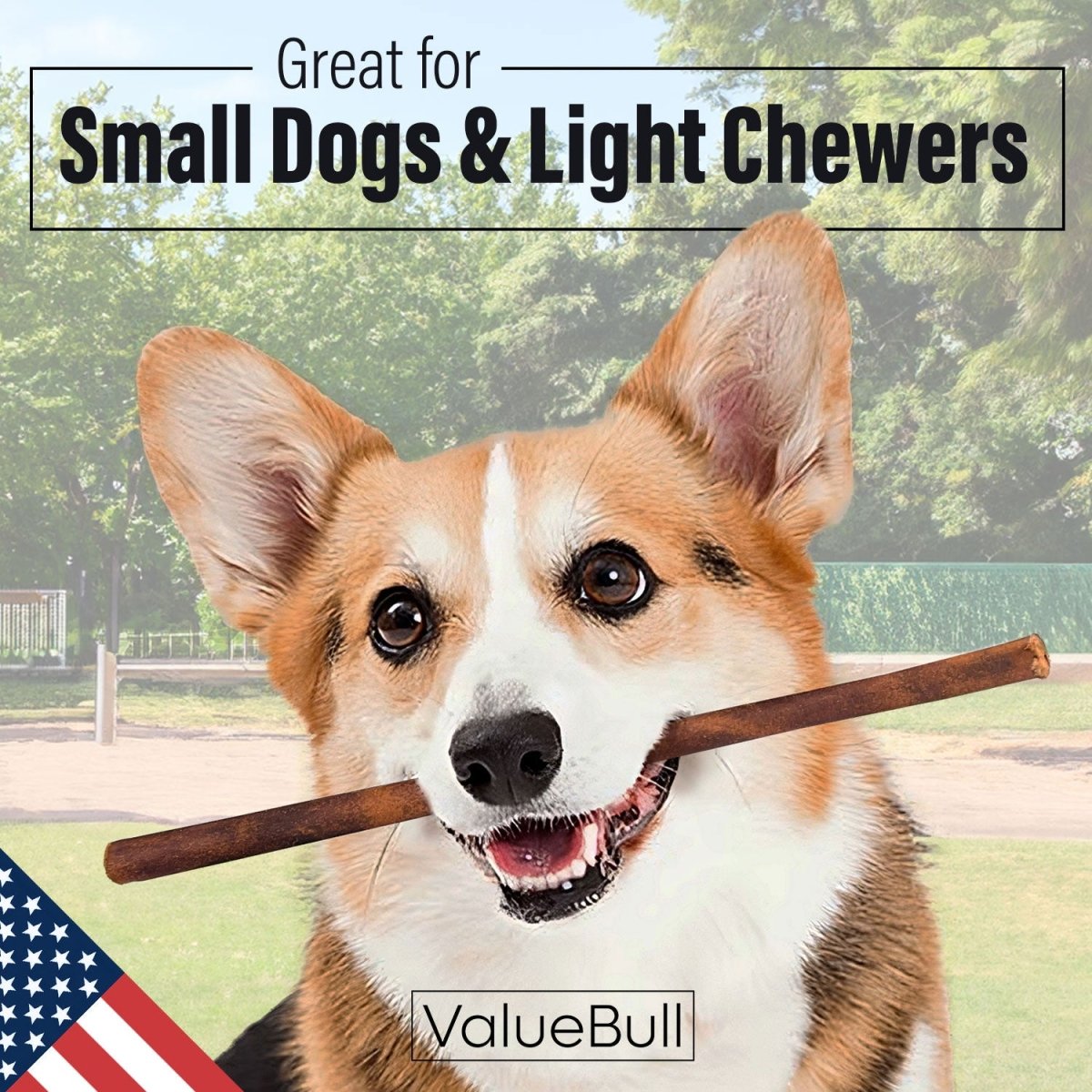 ValueBull USA Collagen Sticks for Small Dogs, 12 Inch Thin Chews, Natural Dog Treats, 10 Count