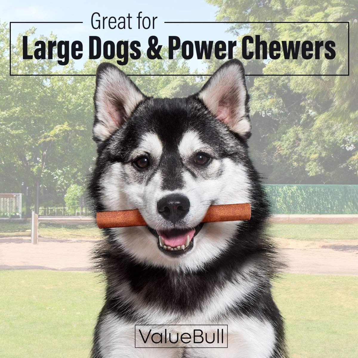 ValueBull Collagen Sticks for Dogs, 6 Inch Jumbo Chews, Natural Long-Lasting Dog Treats, 50 Count