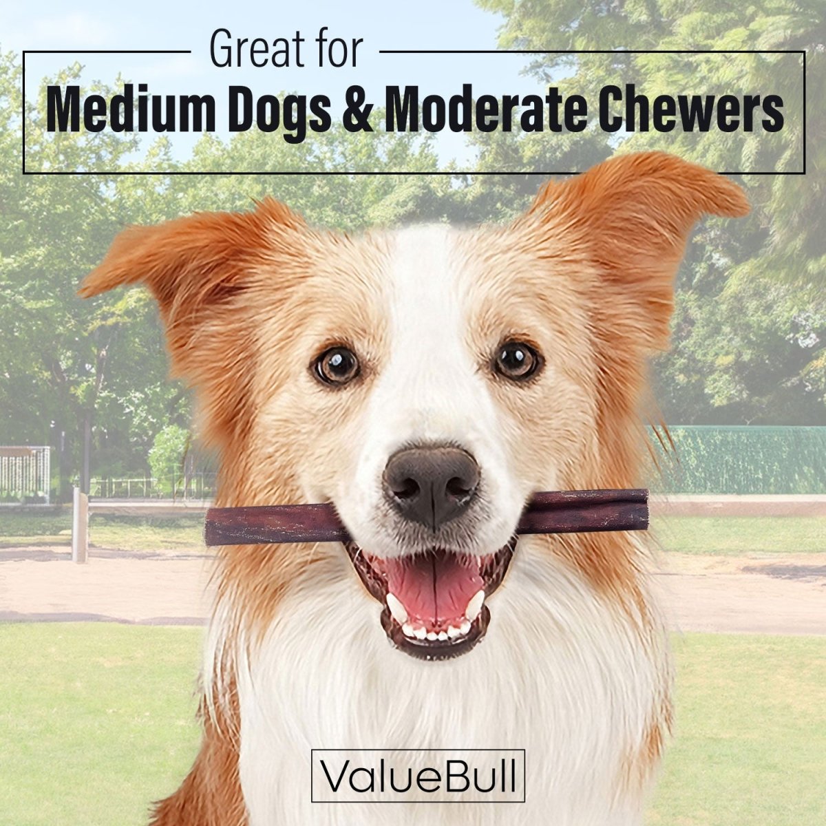 ValueBull Collagen Sticks for Dogs, 6 Inch Medium Chews, Natural Long-Lasting Dog Treats, 50 Count