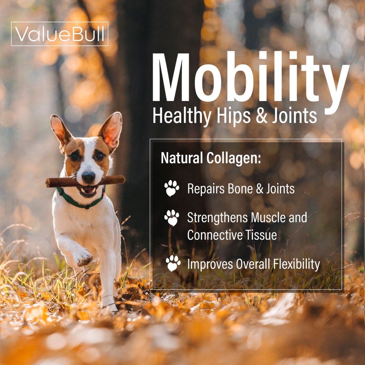 ValueBull Collagen Sticks for Dogs, 6 Inch Medium Chews, Natural Long-Lasting Dog Treats, 50 Count