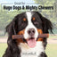 ValueBull Collagen Sticks for Dogs, 6 Inch Super Jumbo Chews, Natural Long-Lasting Dog Treats, 50 Count