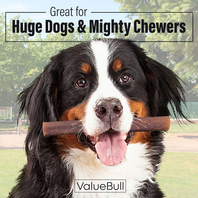 ValueBull Collagen Sticks for Dogs, 6 Inch Super Jumbo Chews, Natural Long-Lasting Dog Treats, 50 Count