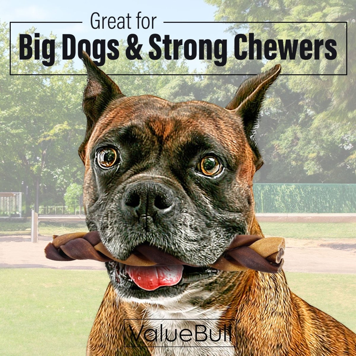 ValueBull Collagen Braided Sticks for Dogs, 6 Inch Thick Chews, Natural Long-Lasting Dog Treats, 10 Count