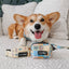 Dog Leash - Patch Perfect