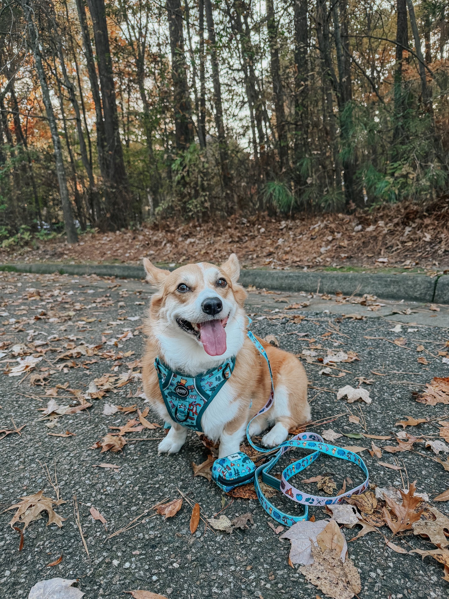 Dog Leash - Disney's Winnie the Pooh