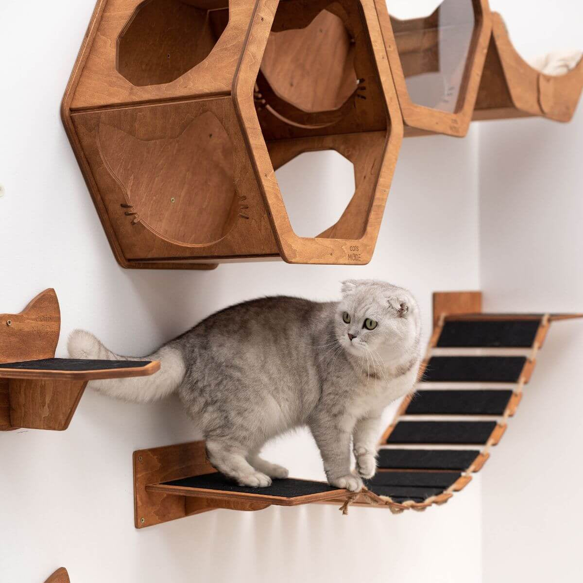 Cat Rope Bridge Oak