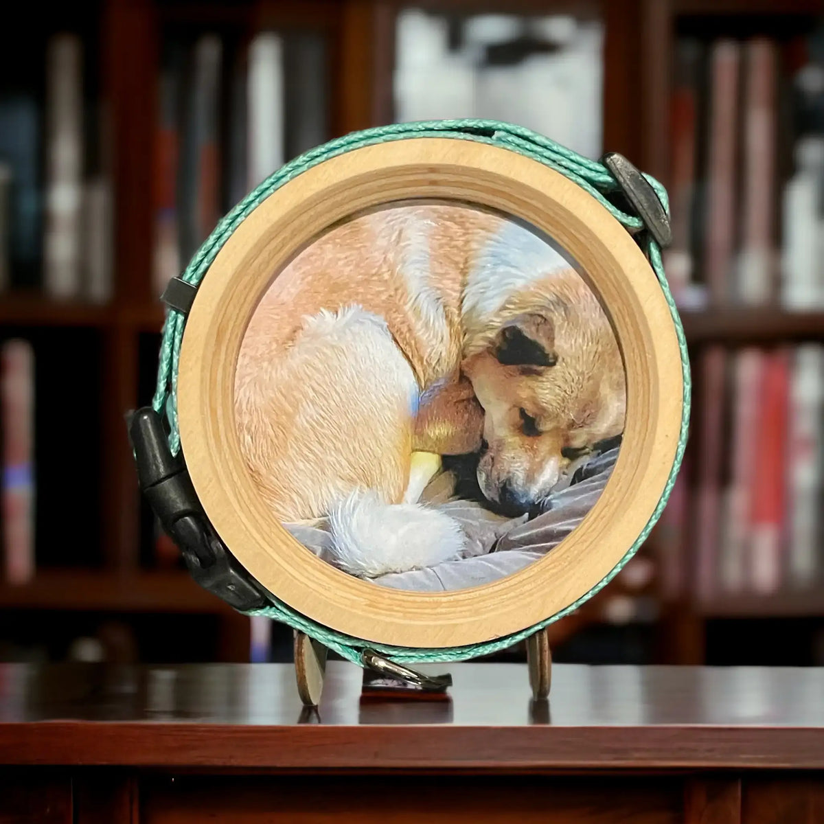Medium Dog Collar Frame and Stand Bundle | " The Beagle" Wood