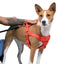 Step In Dog Harness